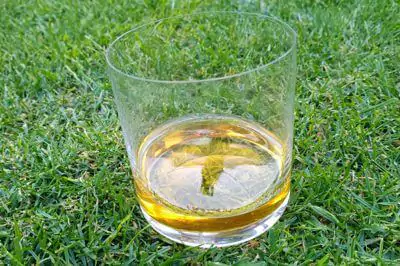 Konzultace o vhodných rostlinách a designových prvcích Konzultace o vhodných rostlinách a designových prvcích